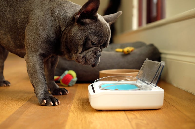 SureFlap Sure Petcare - SureFeed - Motion Activated Sealed Pet Bowl - NOT Microchip Activated - Image 5